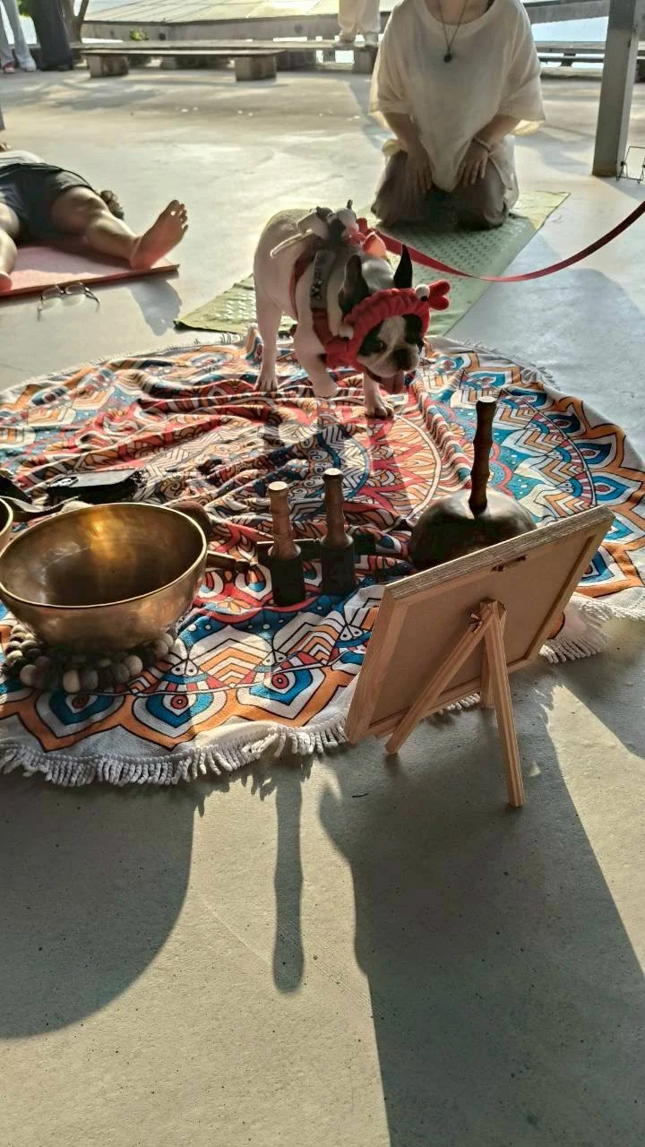 Line Album 2025830公益頌缽伸展瑜珈 251220 6