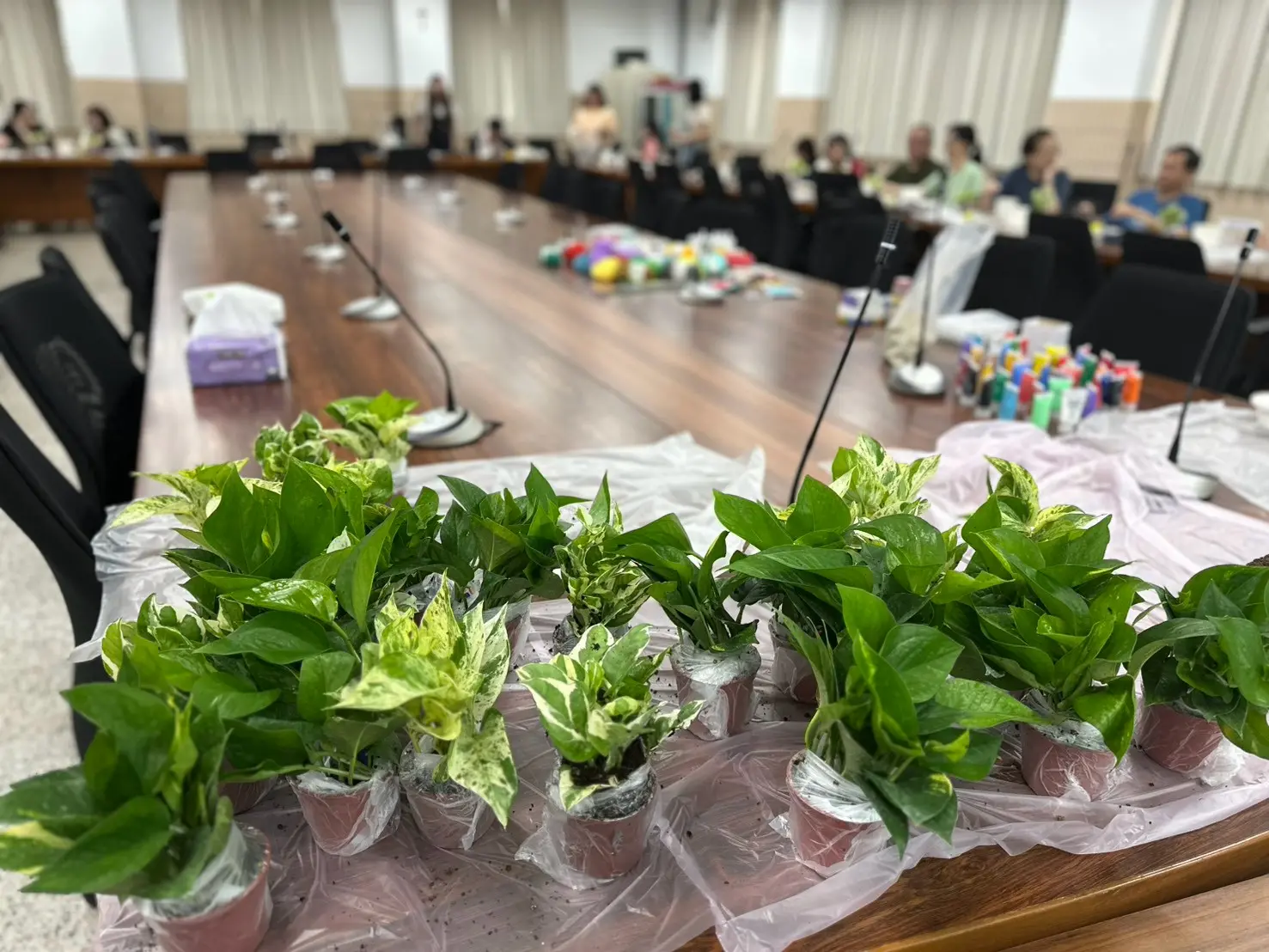 什麼是園藝治療?跟著我們來到輔仁大學,透過植物、色彩與非語言創作,為忙碌的老師們打造專屬的療癒時光。從呼吸靜心到彩繪盆器DIY,放下完美主義,用五感體驗重整身心的綠色處方。