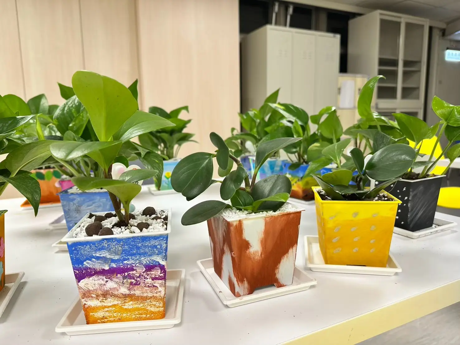彩繪盆栽種上黃金葛與圓葉椒草